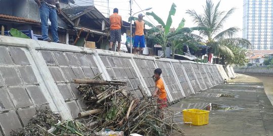 Ahok peduli ekosistem di Sungai Ciliwung