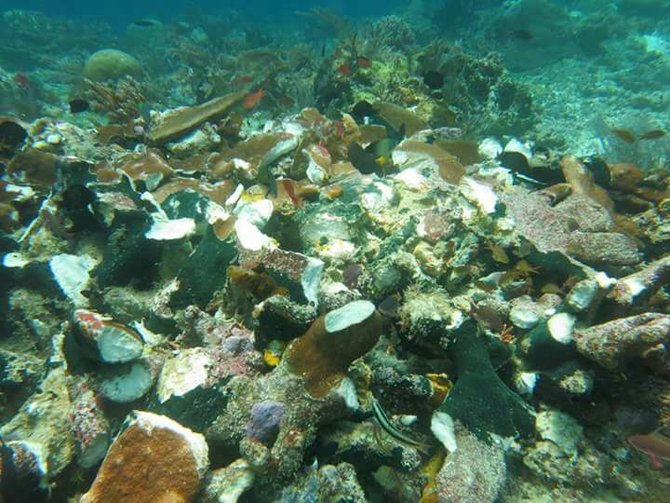 terumbu karang raja ampat rusak