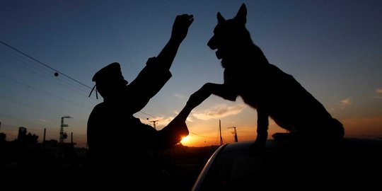 Melihat cara polisi Palestina melatih anjing agar mematuhi perintah