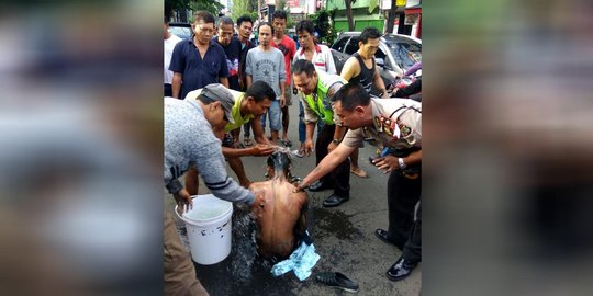 Cerita Kapolsek Kemayoran mandikan Supeno yang dikira biawak raksasa