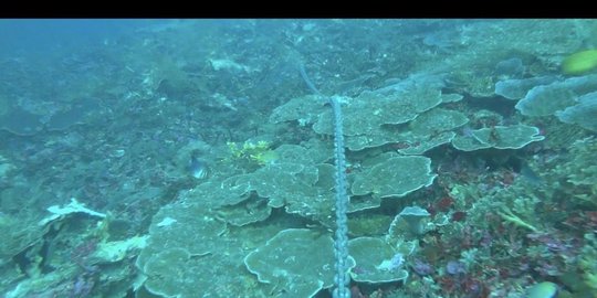 gugat kapal asing rev3