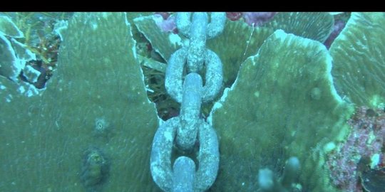 dana perbaiki terumbu karang rev3