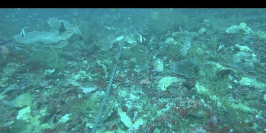 hilang meski sudah ganti rugi rev3