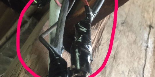 Satu keluarga dan dua sapi tewas tersengat listrik jeratan babi
