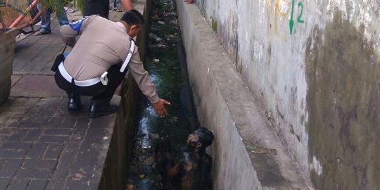 Cerita lengkap Supeno kabur dari rumah, masuk selokan dikira biawak