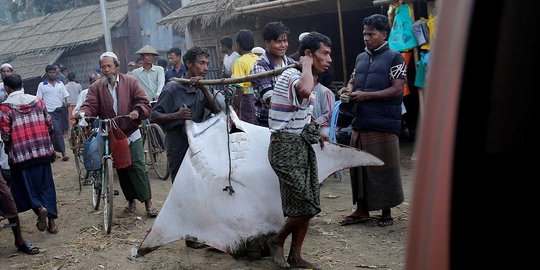 Potret warga Rohingya di kamp pengungsian Myanmar dan Bangladesh