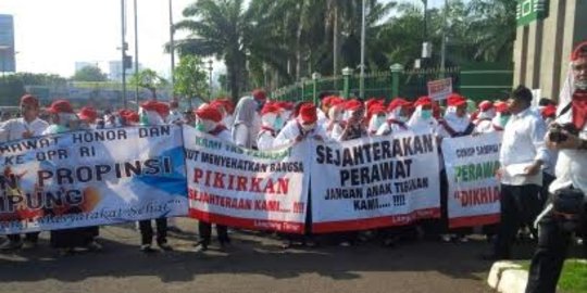 Temui ratusan pendemo, DPR janji perjuangkan nasib perawat honorer