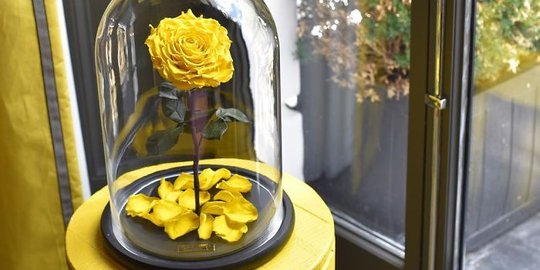 Ini Forever Rose, mawar abadi yang mekar untuk selamanya