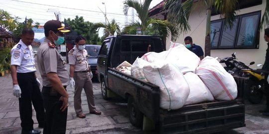 Penyelundupan kulit babi beku di Gilimanuk digagalkan petugas