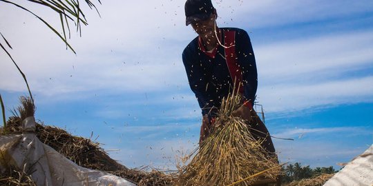 Peluh keringat para Buruh Bawon