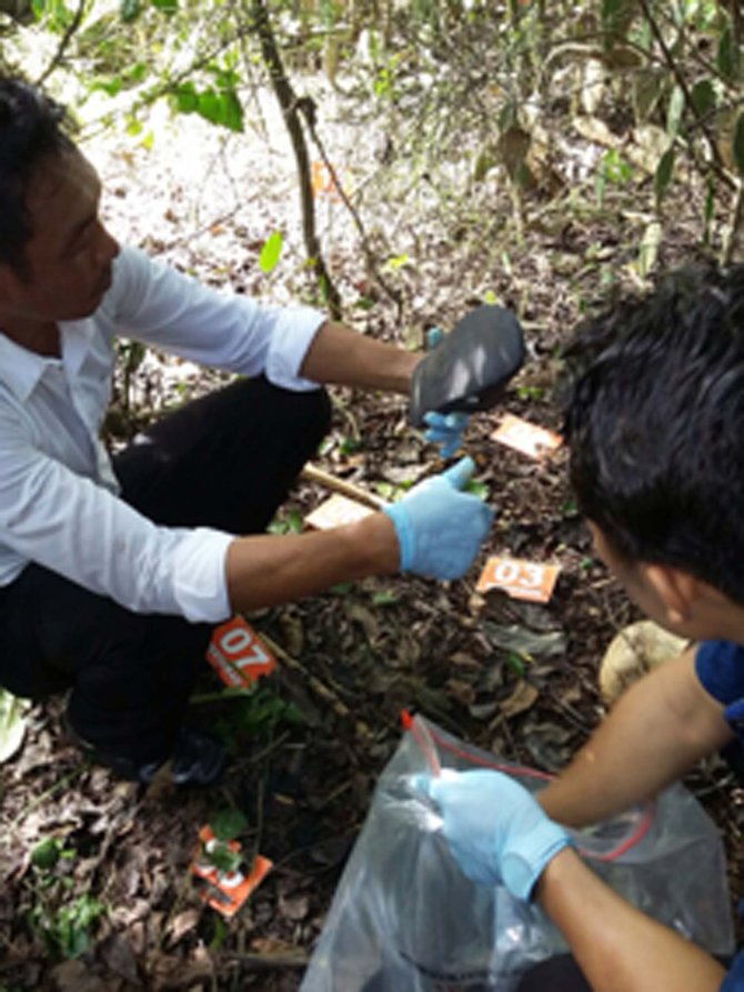 penemuan tengkorak di jembrana