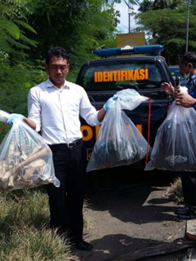 penemuan tengkorak di jembrana