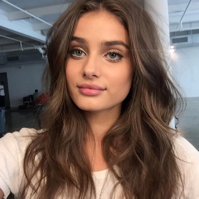 taylor hill