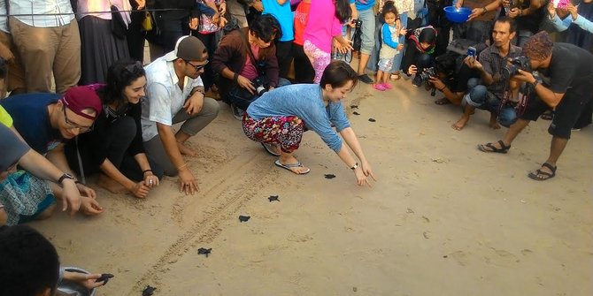 Anak-anak dan turis asing lepaskan 40 tukik ke Pantai Kuala Cut