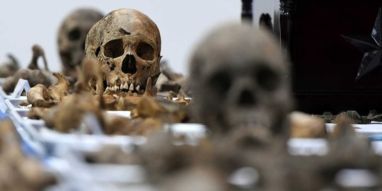 Sisa-sisa kerangka dan tengkorak bekas Perang Korea 1950-1953