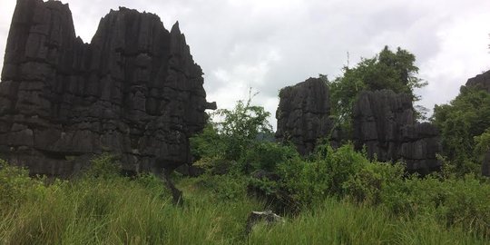 Keajaiban wisata Karst Maros yang mendunia