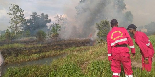 Diduga akibat puntung rokok, 5 hektar lahan gambut terbakar