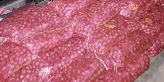 Polres Bengkalis bongkar penyelundupan 500 karung bawang merah