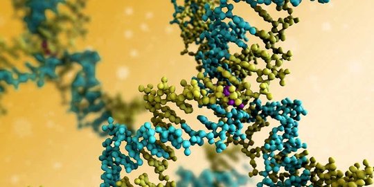 6 cara ilmiah yang mampu buat manusia tak bisa mati!