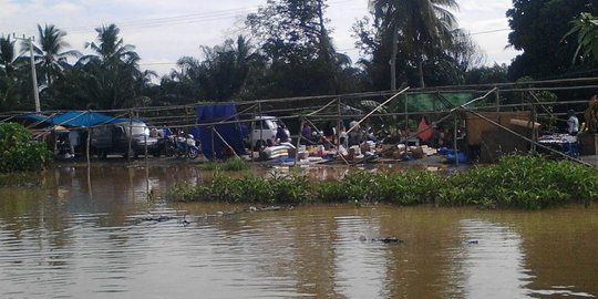 Banjir rendam 4 dusun di Kutai Kartanegara, banyak buaya berkeliaran