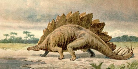 dari tanduk serta paku yang ada di tubuh dinosaurus