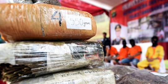 Polda Lampung sita 134 kg ganja asal Medan lewat jasa ekspedisi