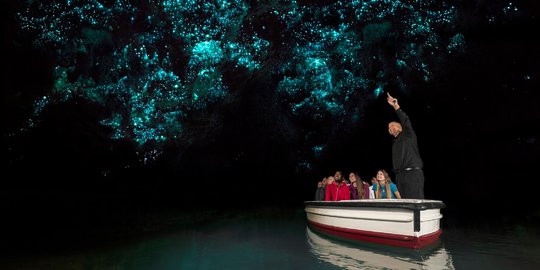 Beda dari yang lain, ini indahnya Gua Waitomo Glowworm