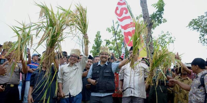 Gus Ipul sebut petani berperan mewujudkan ketahanan pangan nasional