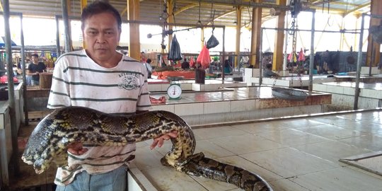 Pasar Tomohon surga pecinta makanan ekstrem, ada ular hingga celeng