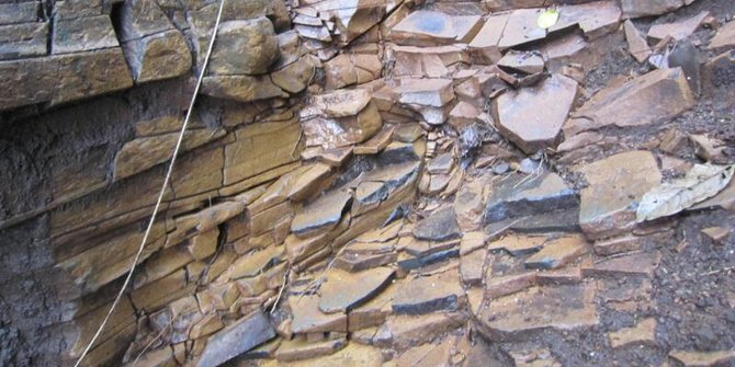 Lempengan batu di Mojokerto diperkirakan berusia 2 5 juta 