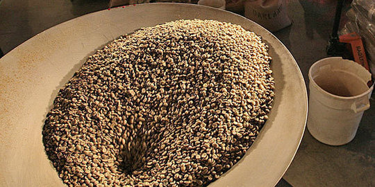 Produksi anjlok, ekspor kopi Indonesia jeblok