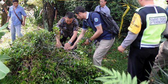 BNN razia ladang khat di Puncak Bogor