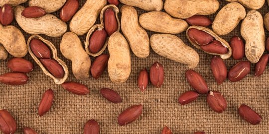 ini hal mengejutkan yang akan terjadi pada tubuh usai ngemil kacang