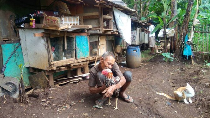 abah tarsa