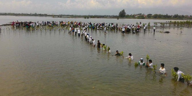 Cegah bencana, mahasiswa tanam mangrove di lokasi tsunami Aceh