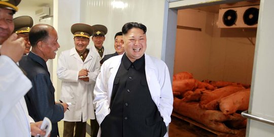 Wajah semringah Kim Jong-un sidak peternakan babi