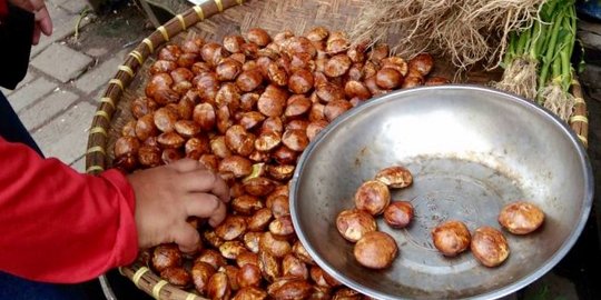 Jengkol di Medan langka, harga per kilo tembus Rp 45 ribu