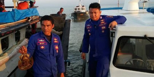 300 Ekor Belangkas gagal diselundupkan ke Thailand