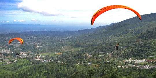 Uji adrenalin terbang dengan paralayang di Puncak