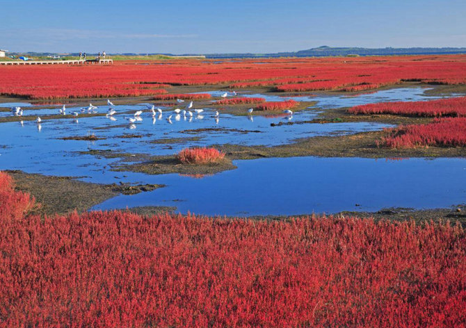 danau notoro hokkaido