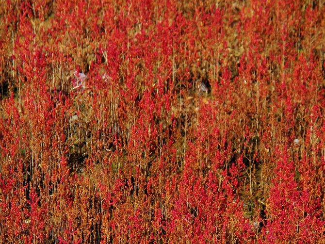 akkeshi sou di danau notoro hokkaido