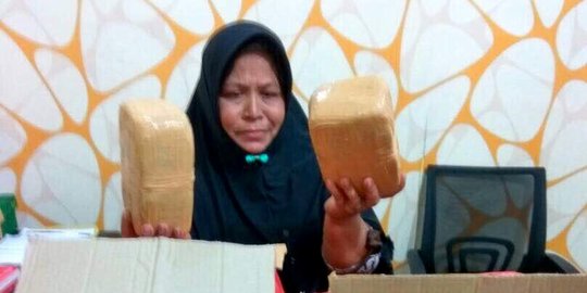 Tergiur Rp 6 juta, wanita 50 tahun jadi kurir ganja 20 kg dari Aceh