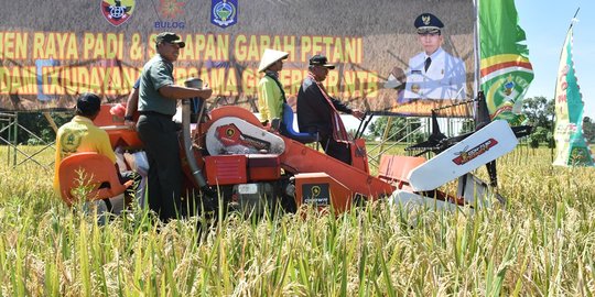 Pangdam Udayana dan Wagub NTB panen raya di Lombok Barat