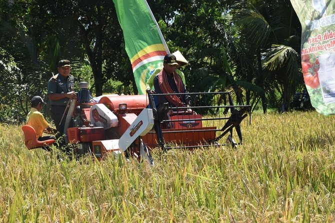 pangdam ixudayana mayor jenderal tni komaruddin simanjuntak dan wakil gubernur ntb h muh amin panen raya