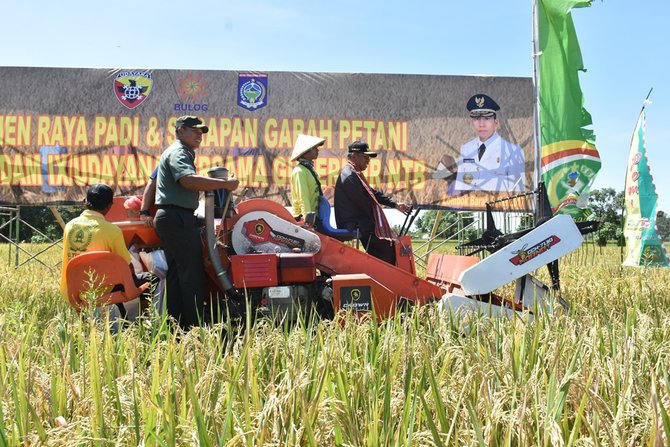 pangdam ixudayana mayor jenderal tni komaruddin simanjuntak dan wakil gubernur ntb h muh amin panen raya