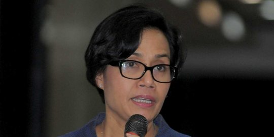 Sri Mulyani ingin PNS punya jenjang karir