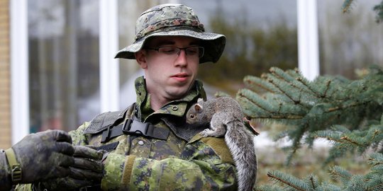 Kisah heroik tentara Kanada selamatkan seekor tupai dari banjir