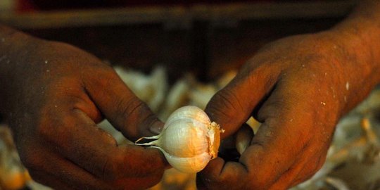 bawang impor siap banjiri pasar