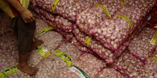 Tekan harga, pasokan bawang putih segera bertambah 7.672 ton