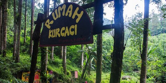 Merawat budaya dari lereng Slamet